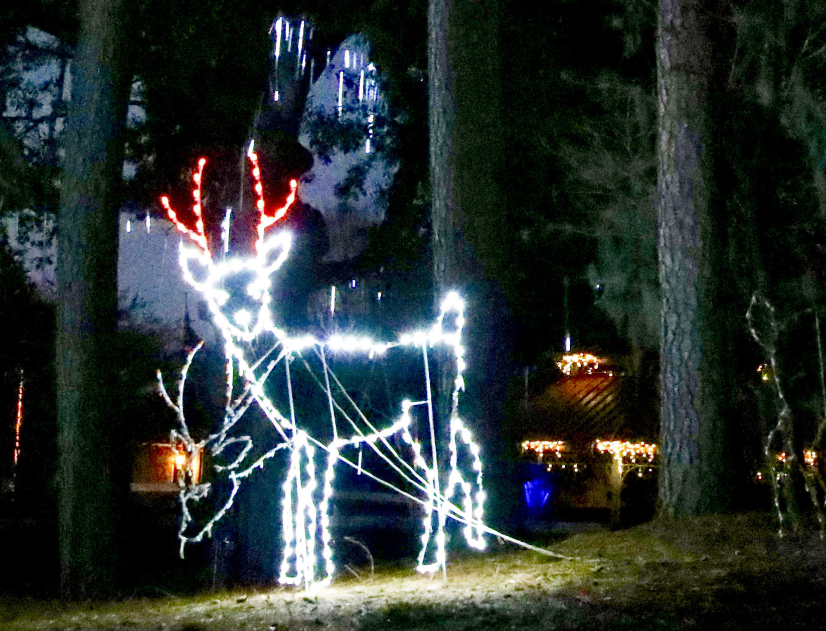 Orangeburg Christmas Lights